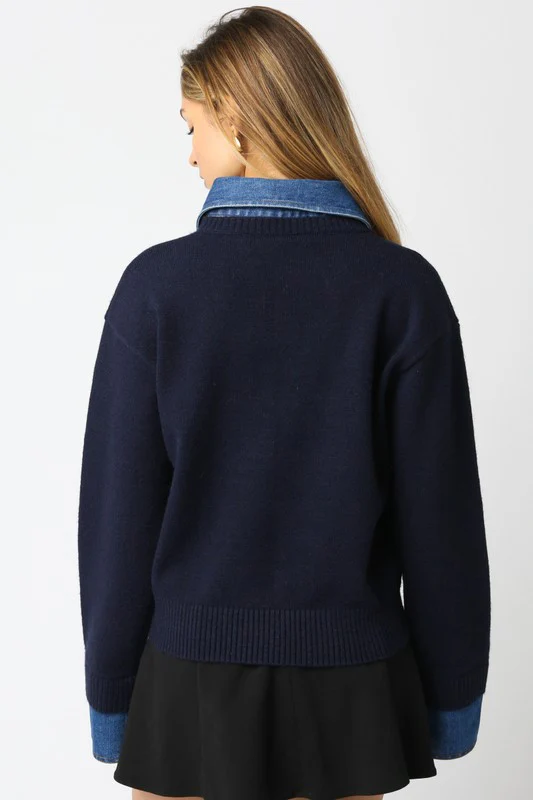 Lover Denim Sweater - Image 16
